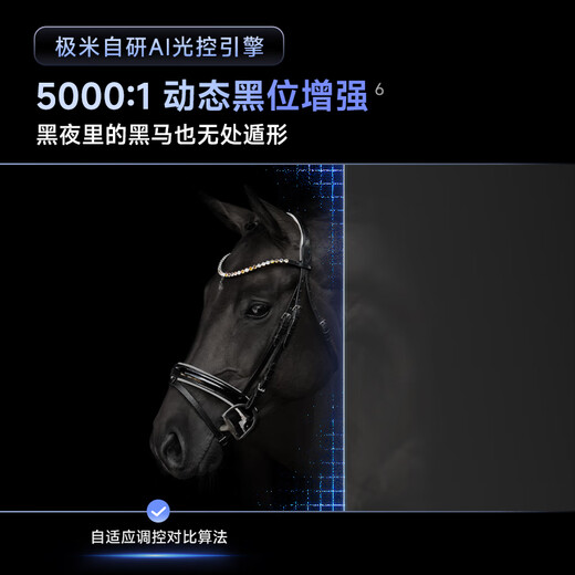 极米Z6X Pro 三色激光版 投影仪家用 轻薄投影机高清 家庭影院一体式云台 2年质保一级能效国家补贴20%