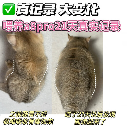 Baichan price Asilison A8PRO full price cat food for adult cats and kittens general cat main food fattening gill salmon 4.5Jin Jin is equal to 0.5kg 1 pack fattening gills hair beauty care intestines formula full-term cat food
