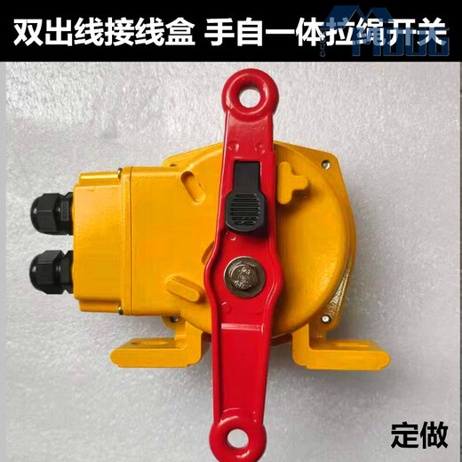 Two-way pull rope switch pull cord belt conveyor accident emergency stop switch HFKLT2-1/2/I/II pull rope switch with junction box