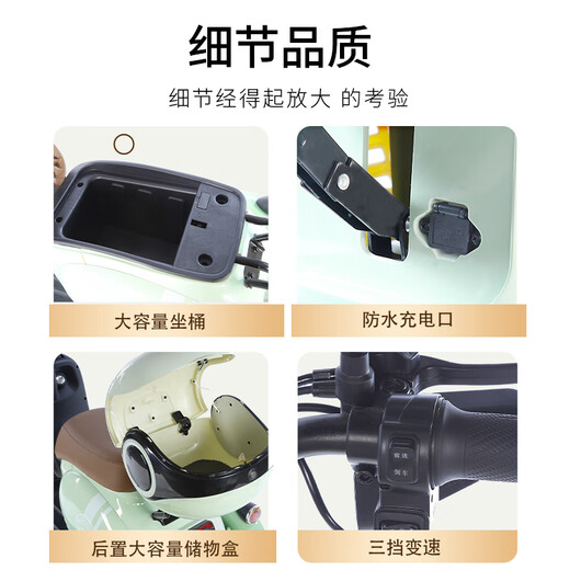 Phoenix Beetle Electric Tricycle Home Small Elderly Walking Electric Vehicle Electric Three-Wheeled Elderly Leisure Battery Vehicle 600W丨48V12A Lead Acid + Battery Life About 25 Kilometers