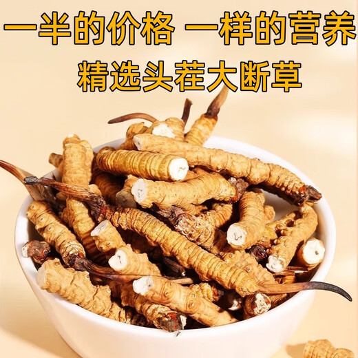 冬虫夏草断草断虫草高海拔虫草断草正宗冬虫夏草滋补品泡酒料药材 西藏那曲大断草100克装送12克