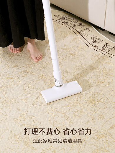 
French carpet living room cream style retro 2025 new style free washable floor mat special irregular thickened sofa Luminous Tango 15054 0cm*0cm 300*450CM Customized consultation customer service