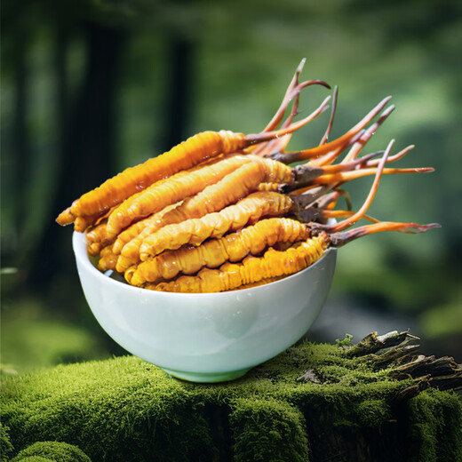 Dongyang Sunshine Fresh Cordyceps Box cadeau Cordyceps Gift nutritionnel haut-gir
