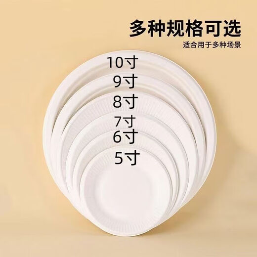 Disposable paper plate paper bowl tableware environmentally friendly paper dinner plate barbecue plate cake painting handmade diy kindergarten plate 10 inch round plate 10 pieces