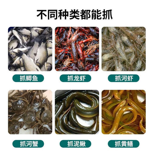 Green Tunan foldable retractable fish net, fish and shrimp cage, lobster fishing net artifact, 8 sides and 8 holes (10 baits + accessories)