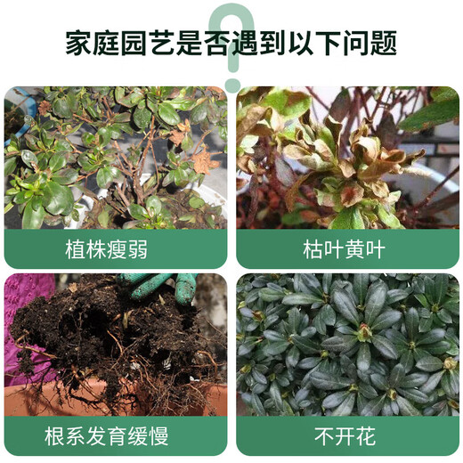 Plant nutrient solution universal household potted money tree rich bamboo green dill hydroponic flower green plant vegetable fertilizer universal nutrient solution 500ml 2 bottles