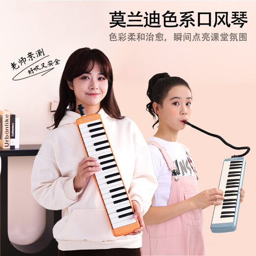 Feifan37 Keked Organ Enfants, étudiants adultes, débutants, professeurs d'illumination musicale recommandent des instruments de performance sur le campus, Mint Green 37 Key Metal Double Set Blow Tube, sans spécifications