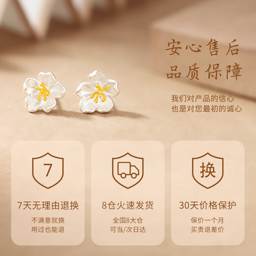 Zhen Shang Silver Chinese Gold 999 Pure Silver Earrings Women's Earrings Light Luxury Niche High-end Birthday Gift for Girlfriend and Wife