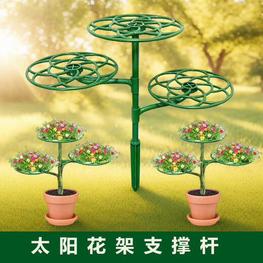 Paigadin Sun Flower Stand Shape Bracket monocylace à double couche
