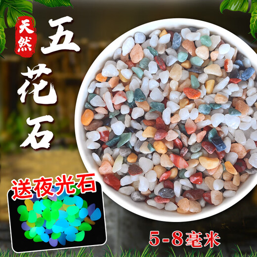 Runhuanian Pure Yuhua Stone Potted Succulent Pavement Stone Small Multicolored Stone Fish Tank Pavement Ornamental Stone Colorful Small Stone Multicolored Stone 5-8mm 5.2Jin Jin equals 0.5kg (hot)