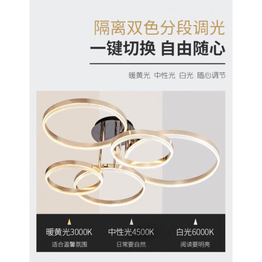实体店极朔系列圆圈客厅餐厅卧室吸顶灯线下12188 五圈90瓦直径99cm三色