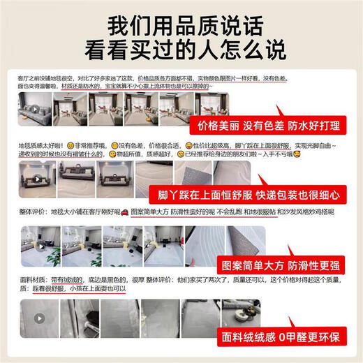 山头林村地毯客厅感 客厅地毯轻奢感2024防水免洗可擦沙发茶几地垫大面积 拾温-15937 200*300cm适合4人或L型沙发