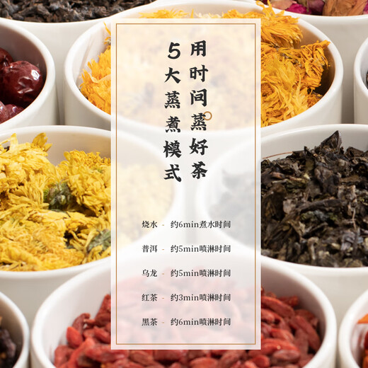 LIFE ELEMENT health pot 0.8L office mini multi-mode spray tea brewing/tea filter scented tea/hot water boiling automatic kettle teapot for 1-2 people i97