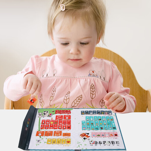 Beau chiens, lettres magnétiques en bois, disque cognitif, aides pédagogiques, table pinyin, jouets d'éducation précoce, anniversaire, cadeau de la journée pour enfants, livre magnétique, bleu