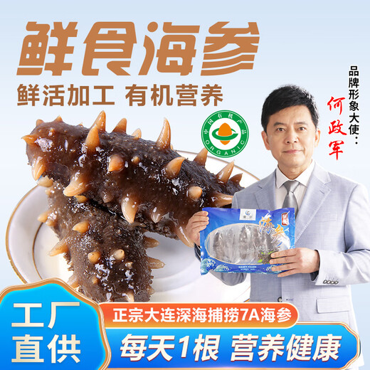 Dong Erpang Organic Dalian Sea Cucumber Fresh Sea Cucumber Ready-to-Eat No-Wash Individually Packed Gift High-Quality Fresh Aquatic Products 7A 7-9 pieces/1Jin Jin is equal to 0.5kg 2Jin Jin is equal to 0.5kg (SF Cold Chain Preservation)