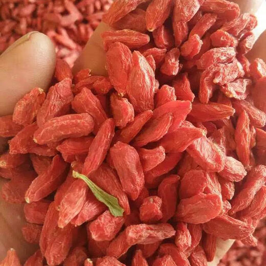 Xiemu ningxia Высококачественное <аутентичное и специальное Wolfberry> Ningxia Выбранная Wolfberry крупные гранулы Zhongning Wolfberry 500g Выбрали большие фрукты 500G [2 банки].
