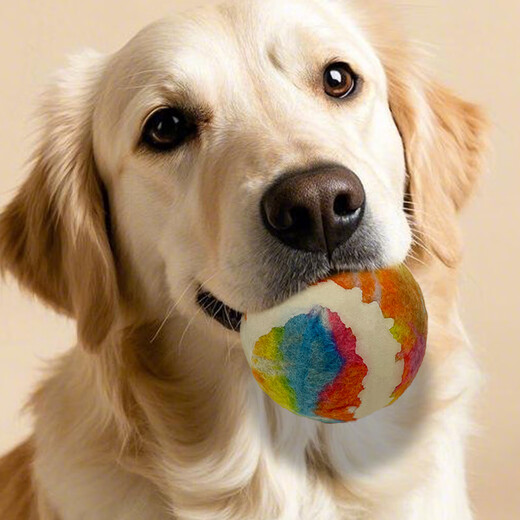 Zanpet Teething Dog Toy 3-piece Set Toy Golden Retriever Teddy Interactive Teething Relief and Bite-Resistant Dog Toy