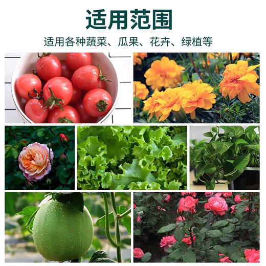 Nutrient solution plant universal flower fertilizer fortune tree rich bamboo green dill hydroponic potted household flower flower fertilizer universal concentrated type 500 ml bottle