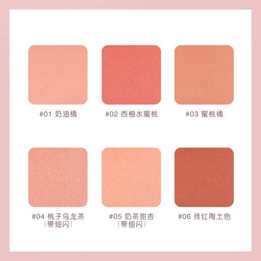 Lamela Blush Natural Makeup Available Makeup Cosmetics Matte Natural -2#1 Plate