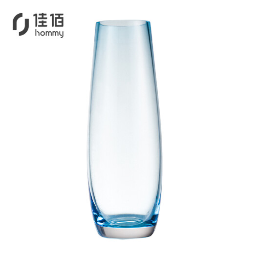 Jiabai modern simple small fresh colorful hydroponic glass vase creative table decorations a flower home decoration sky blue