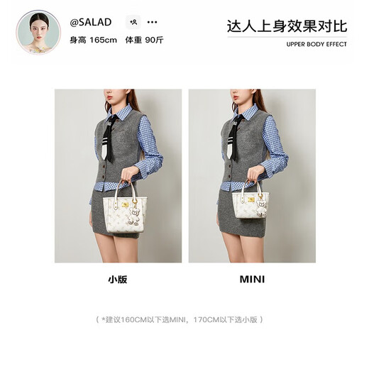 纽芝兰（NUCELLE）沈月同款飞马mini托特包2025单肩斜挎菜篮子手提包圣诞生日礼物女