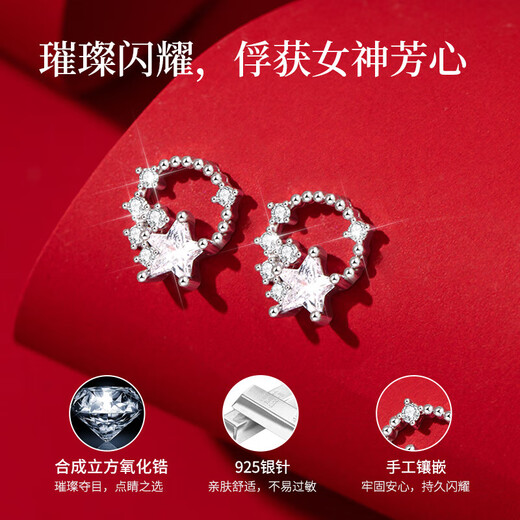 Juvia Valentine's Day Gift 925 Sterling Silver Earrings Women's Gift Box Mother's Day Birthday 520 Gift for Girlfriend and Wife One Week of Earrings Seven Pairs of 925 Silver Earrings Rose Gift Box + Certificate