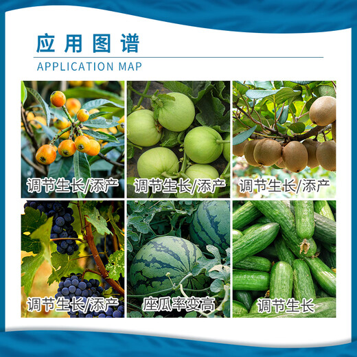 Lanyue Fumet 0.1% clofenuron, loquat, kiwi and grape growth regulator, plant growth regulator 100ml