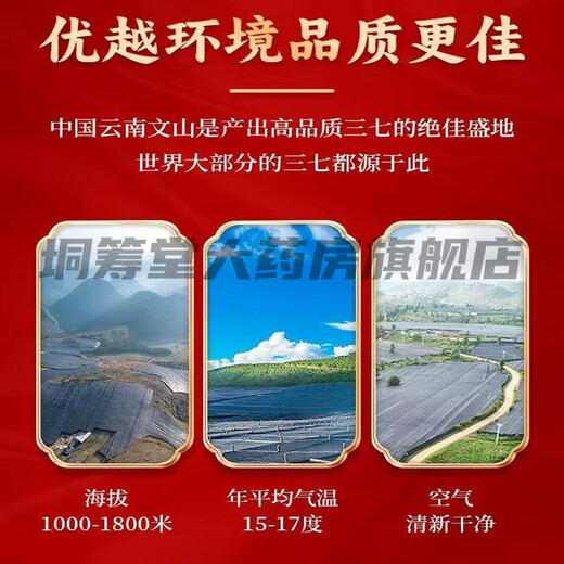 金七王晓全株萃取三七精华固体饮料提取物老师中医晓说百消丹 8盒一组