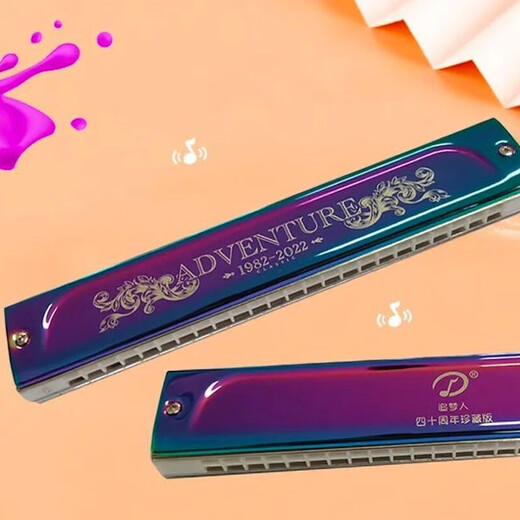 Swan Dream Chaser High-End High-End Polyphonic C-Tune C-Tune Alemán Gong Profesional para adultos jugando armónica Regalo de 24 hoyos Polyphonic [Tono de nota de pedido]