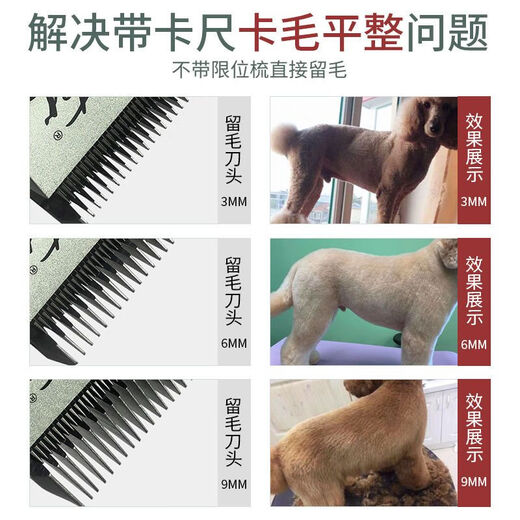 Lister dog shaver shaving machine pet shop special electric clipper electric clipper large dog teddy shaving dog hair X5 body with 3mm+6mm hair retaining head