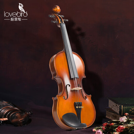 ACACIA Bird Violon Instruments de musique faits à la main Débutants 3/4 Examen de performance professionnelle Exercice de bois de bois solide sec naturel