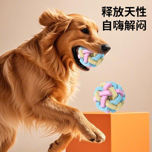 Zanpet Macaron Braided Bell Ball Dog Toy Ball Relief Teething Toy Pet Interactive Training Supplies