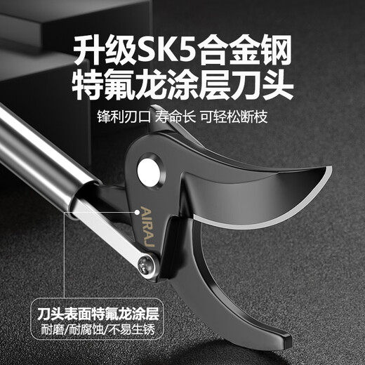 Zhexiang German high-altitude pruning shears telescopic pruning shears special for tree branches gardening fruit trees stainless steel thick branch extension high branch shears 2 meters upgraded stainless steel reinforced rod + spare blade