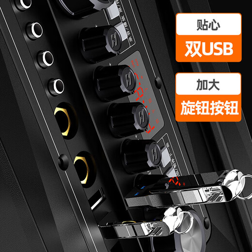 SANSUI A12 outdoor karaoke dedicated audio high-power heavy bass square dance audio portable smart speaker with microphone 12-inch electric acoustic guitar folk instrument speaker