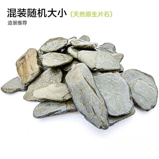 Pure natural stream stone fish tank landscaping stone flakes turtle basking back schist climbing pet rockery terrace landscaping stone 10Jin Jin is equal to 0.5kg 5-10cm schist size matching