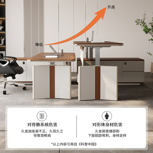 Wolin E0 class electric lift desk boss desk office modern simple smart adjustable manager desk chair 2.0 meter table dual motor + 2.6 meter filing cabinet