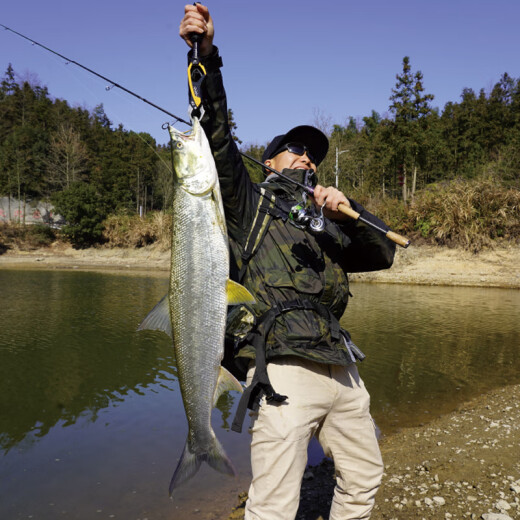 达亿瓦（DAIWA）ZILLION子龙竞技远投碳素路亚竿 682m 川村-LFS(2.03m中软调直柄)