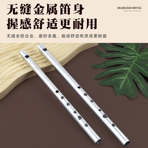 Penney Irlanda Full Metal Whistle Aluminio Aluminio Aleación de 6 hoyos Pitch Shistle Western Recorder recta Flauta Instrumento de viento para principiantes C Tune