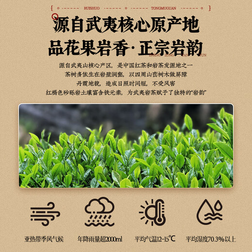 Ruishuo Tongmuguan Narcissus Rock Tea Wuyishan Oolong Tea Special Authentic Tea Small Cans Drink Itself Giving Gifts to Elders