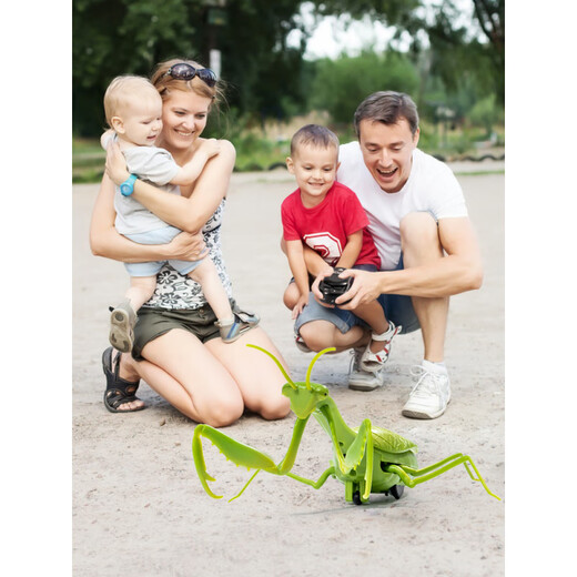 Jiatuling Remote Control Mantis Simulación eléctrica Juguetes Douyin Prank Artifact Cockroach Los niños pueden mover los animales de rastreo de araña [Versión clásica - Control remoto Ladybug] Modelo rojo 9922+ Estándar oficial