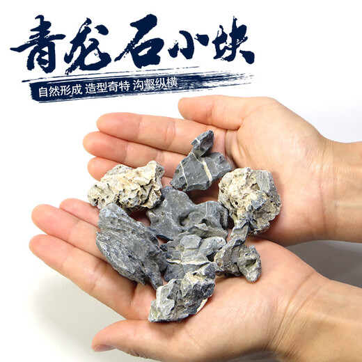 Landscape stone stream stone fish tank landscaping stone potted plant real stone grass tank rockery small bonsai micro landscape Qinglong stone rough stone 15 pieces (about 1-3cm)