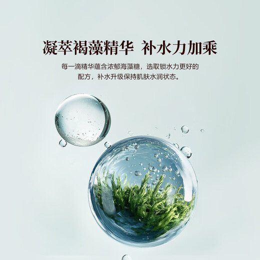 御泥坊男士面膜褐藻补水保湿活力面膜贴 面膜15片*25ml 