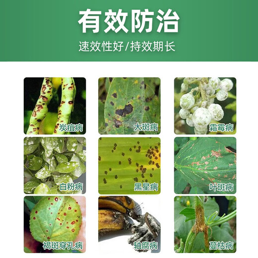 Bainongstar 60% azoxyfen ether, apple, fruit tree, vegetable, anthrax, downy mildew, powdery mildew pesticide and fungicide 100g/bag