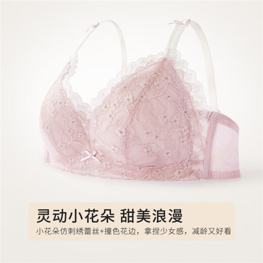 El nuevo producto de Urban Beauty, el sujetador francés de encaje sexy, la ropa interior delgada de las mujeres, la ropa interior Triangle Cup, Hermosa espalda 2B32C5