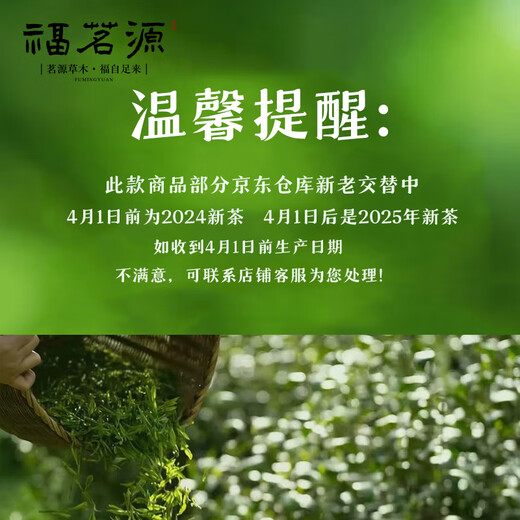 福茗源茶叶 台湾冻顶乌龙茶 浓香特级2025新茶冷泡茶袋装250g茶叶自己喝