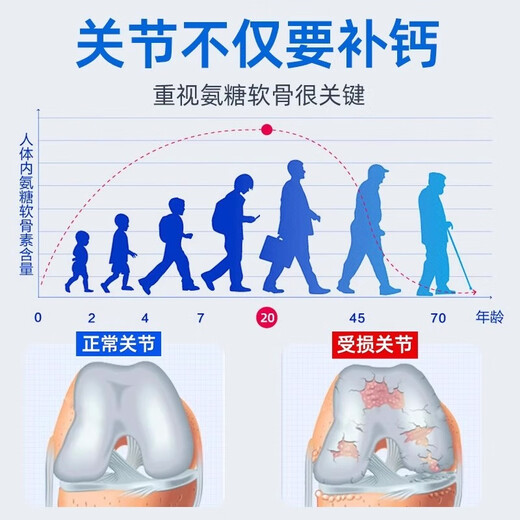 BEIJING Tongrentang [magasin officiel] Gastrodia Eucommia Sanqi Tongluo Tablets Gastrodia Eucommia Sanqi Tongluo comprimés avec tianDiLuo 1 bouteille [forfait expérimental, expédition coûteuse]
