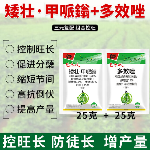 The combination of short and strong methylpiperium paclobutrazol to control vigour, dwarfing, controlling vigour, resisting lodging and increasing the yield of wheat, soybeans, rapeseed and peanuts, short and strong methylpiperium and paclobutrazol * 3 sets