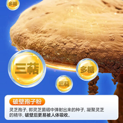 Peking Tongrentang Break Wand Ganoderma lucidum spore pulverkapseln Lebensmittelrecovery Produkte Apotheke Direktverkauf Fett Lai Zwei Flaschen