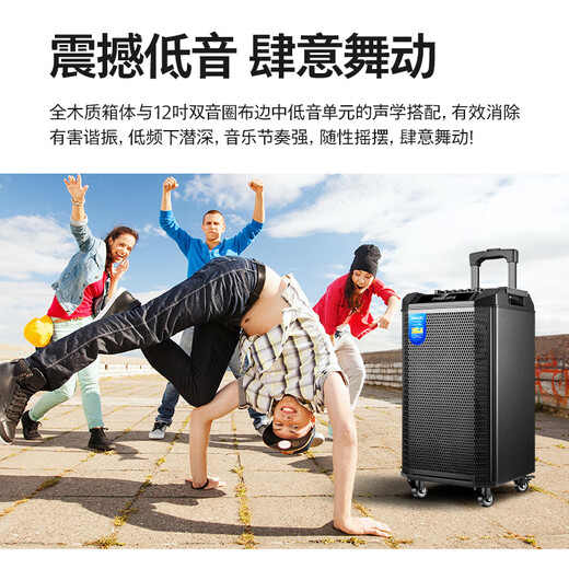 Philips Square Dance Audio outdoor stage high-power mobile portable trolley commercial conference speaker wireless Bluetooth high volume karaoke amplification with dual microphone SD180T 12-inch bass + dual microphone