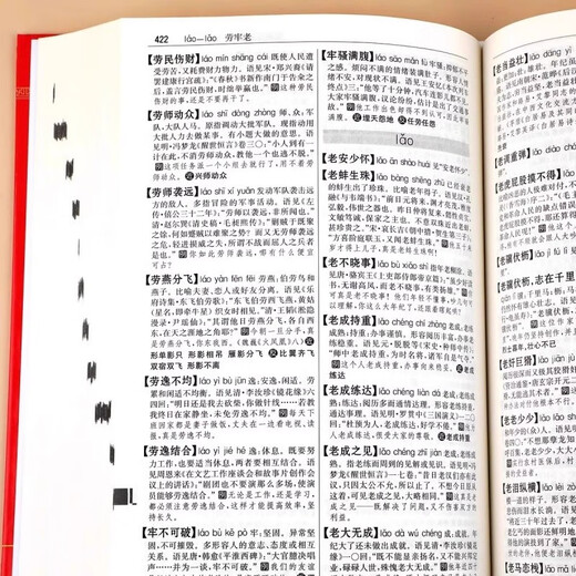 中华成语大词典（红色） 现代汉语词字典高中常用小学生初高中单色本现代汉语成语全多功能工具书成语词典书